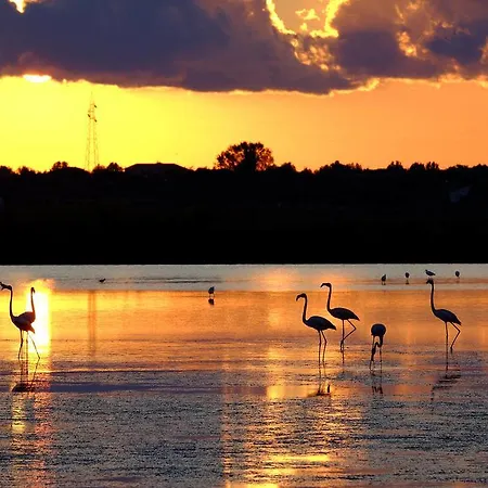 ホテル Continental 3*